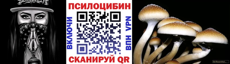 Купить закладки  Ржев  Псилоцибиновые грибы MAGIC MUSHROOMS 