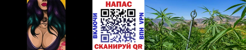 Купить закладки  Ржев  Конопля тримм 